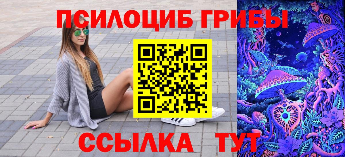 Заводоуковск  Галлюциногенные грибы мицелий  Псилоцибиновые грибы Cubensis  Вход с VPN 