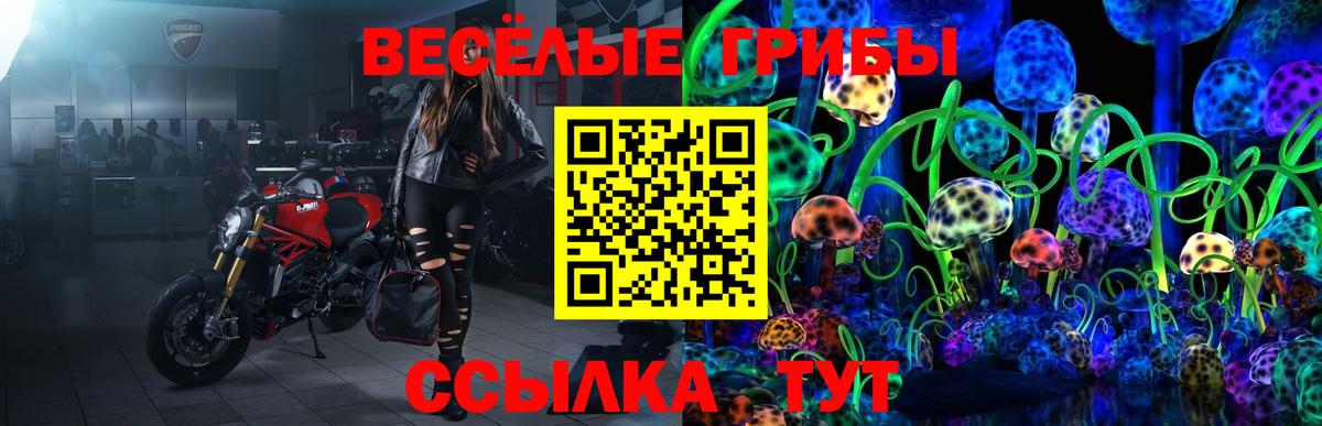 Галлюциногенные грибы Magic Shrooms Заводоуковск